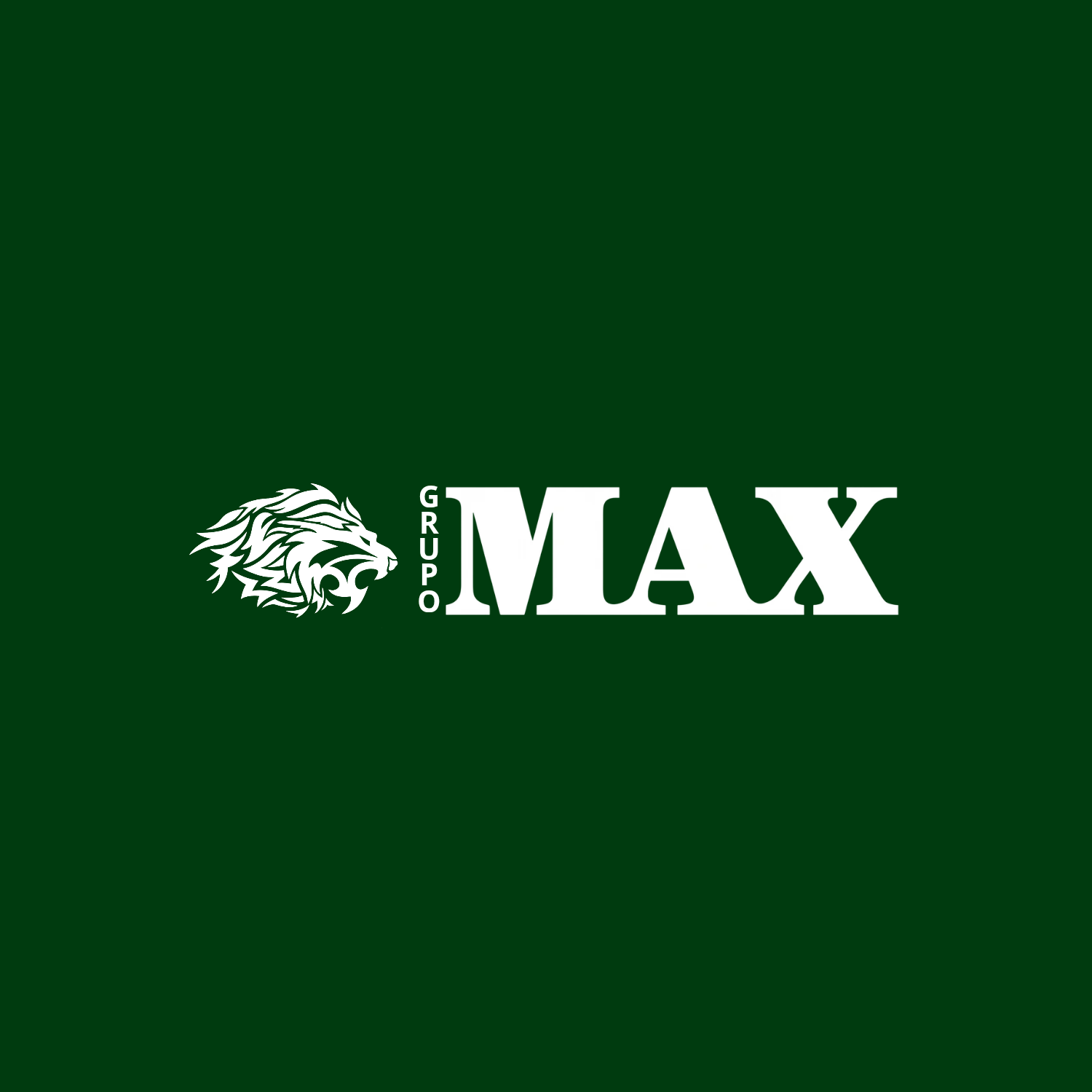 GRUPO MAX